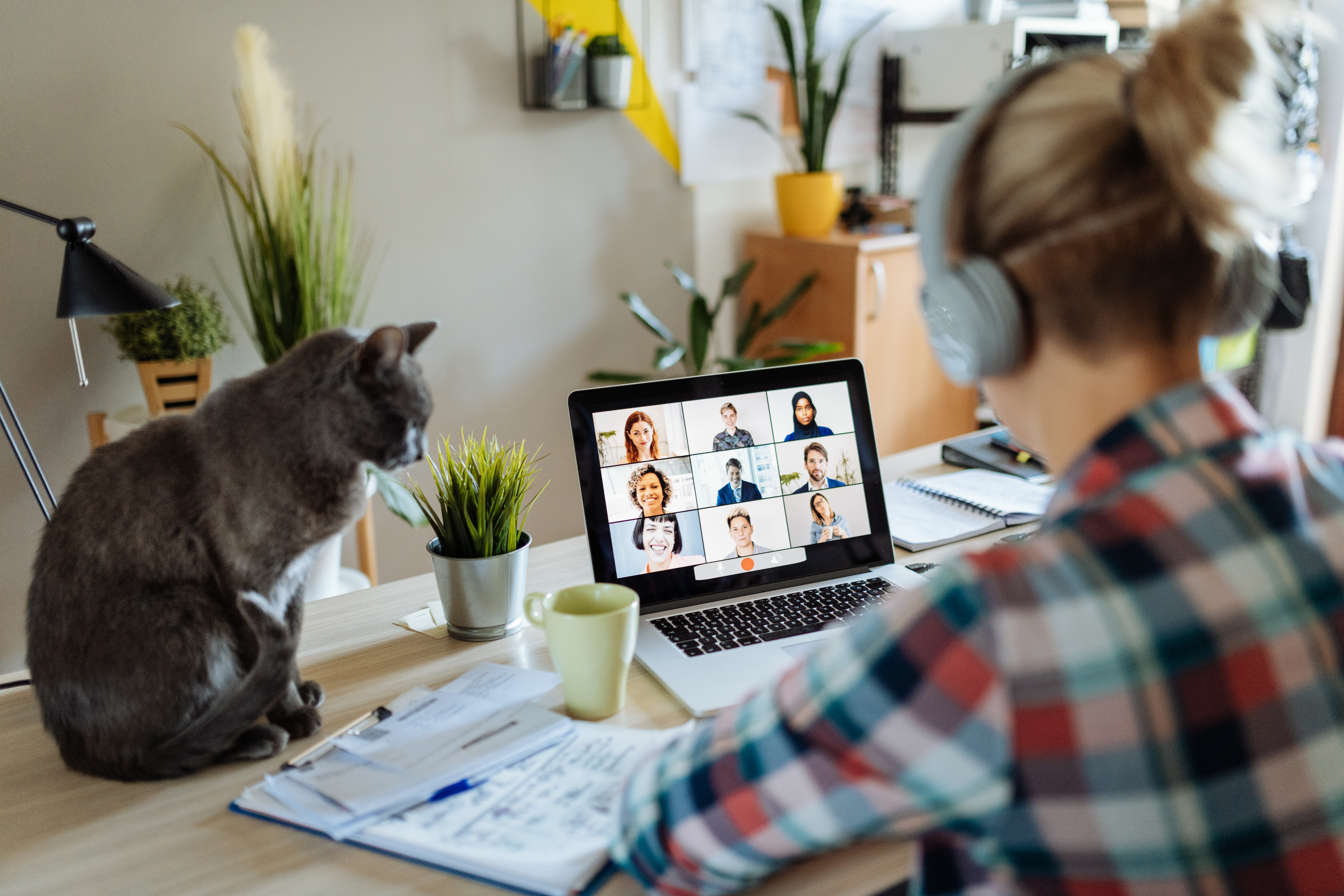 Person on Computer
